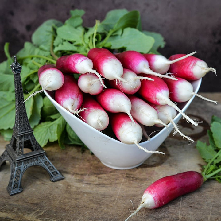 French Breakfast Radishes in bowl with a miniature Eiffel Tower.