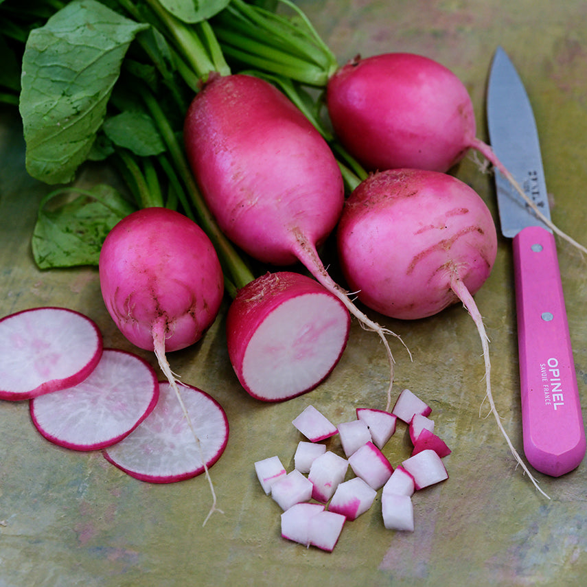 Pink Dawn Radishes sliced and cut with a pink knife on a green background.