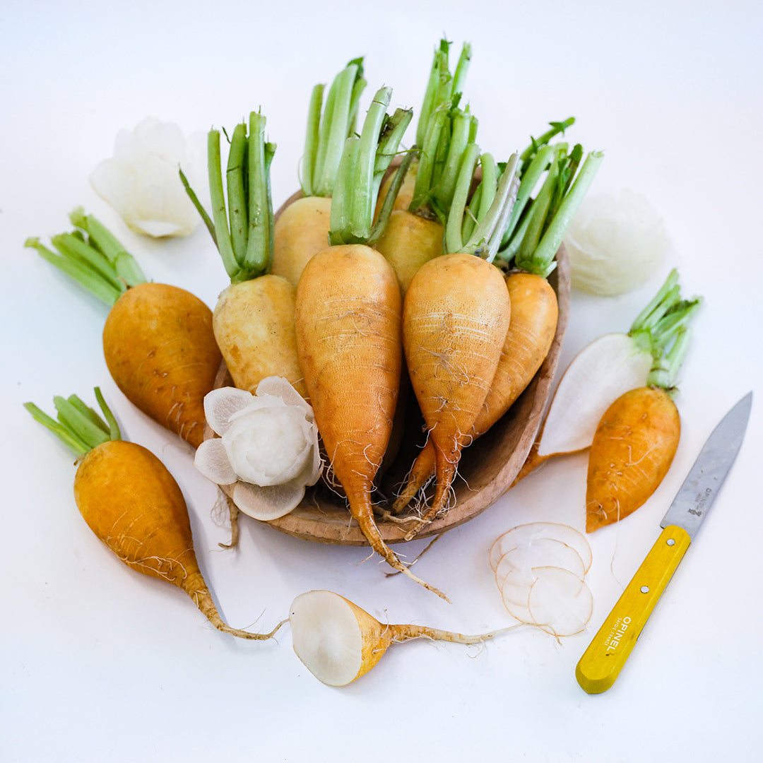 Whole and cut Lutea Carrot Radishes with a radish rose on a white background.