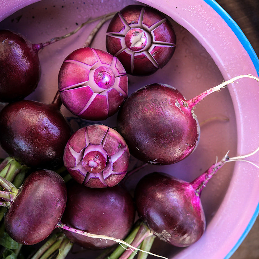 A close-up of rose-cut and whole Malaga Radishes arranged on pink dish.