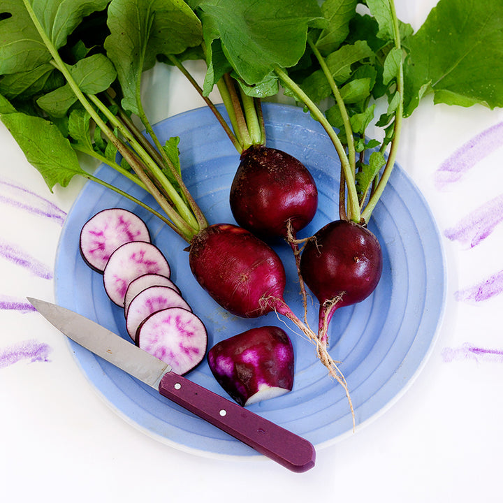A trio of Malaga Radishes on a blue plate with a purple handled knife and radish juice on a white background.