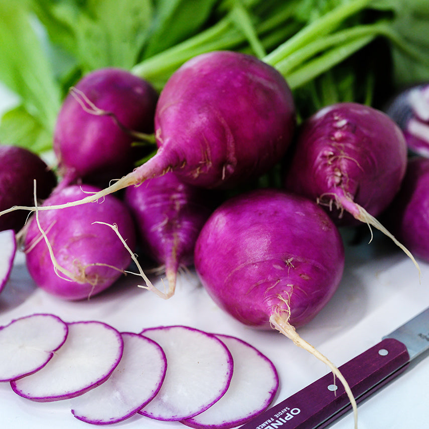 Close-up view of Purple Plum Radishes with slices and a purple handled knife on a white background.