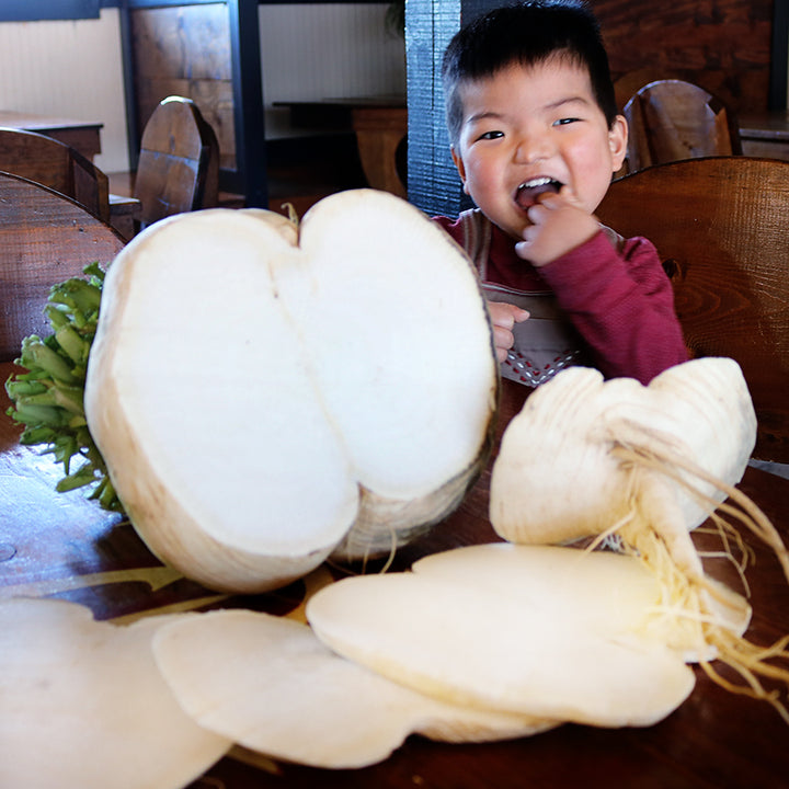 A laughing little boy poses with a Sakurajima Giant Radish on a table at the Baker Creek Restaurant.