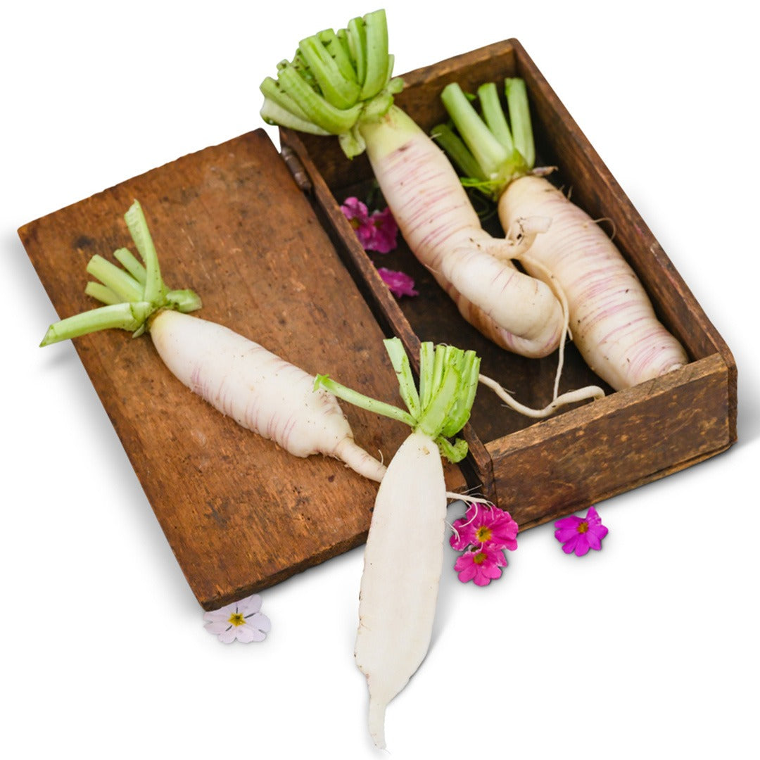 Akasuji Radishes in a wooden box on a white background.