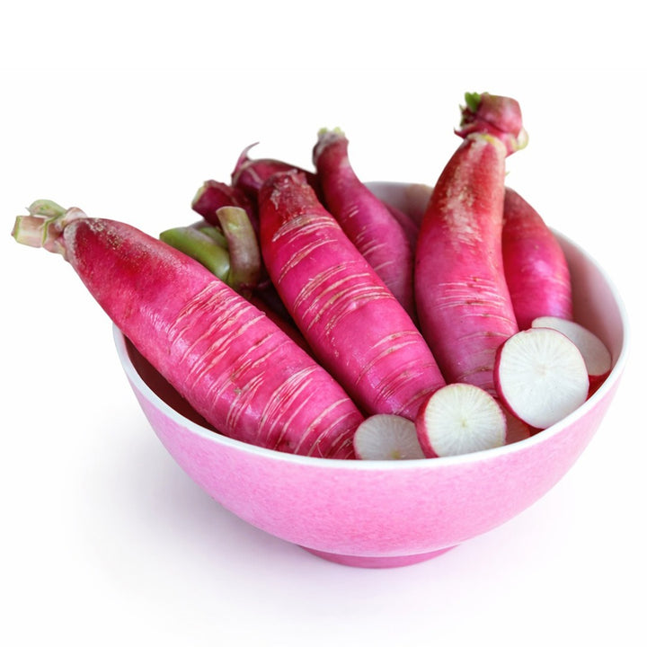 China Rose Radish in a pink bowl on a white background.