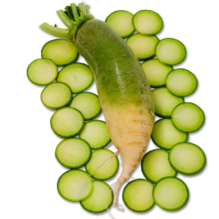 Whole Chinese Shawo Fruit Radish on a bed of sliced radishes on a white background.