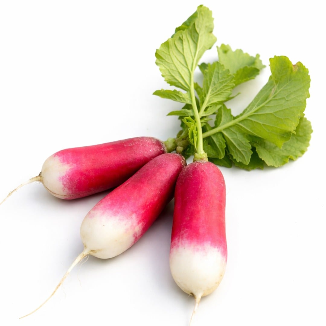 Trio of De 18 Jours radishes arranged on a white background.