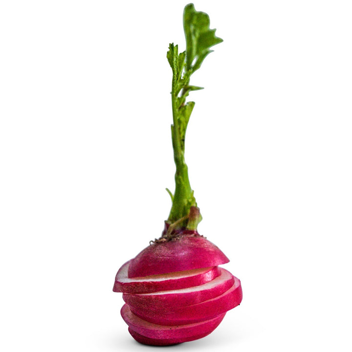 Single sliced Giant of Sicily Radish stacked up on a white background.