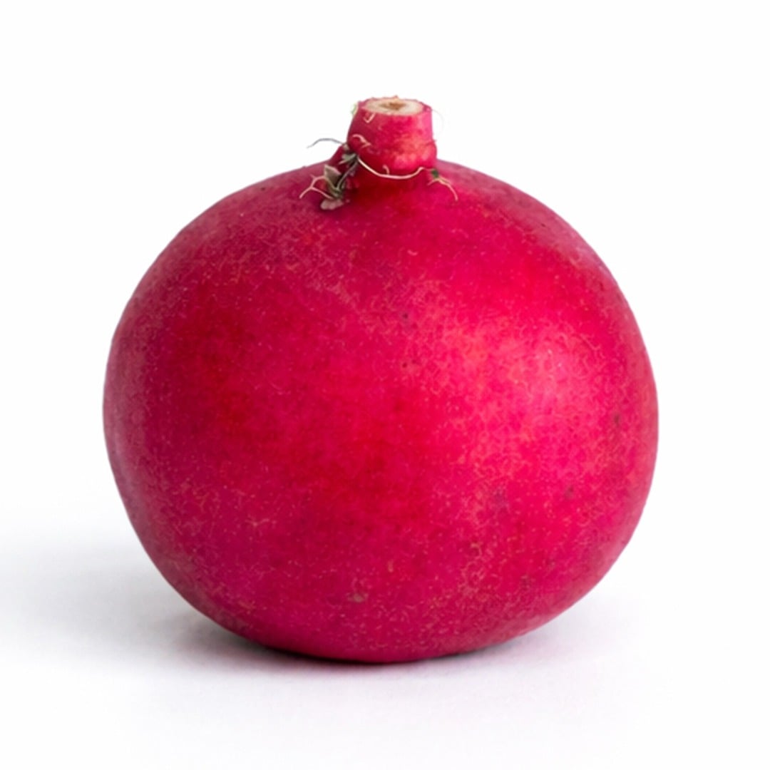 Close up of Giant of Sicily radish on a white background.
