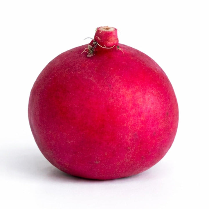 Close up of Giant of Sicily radish on a white background.