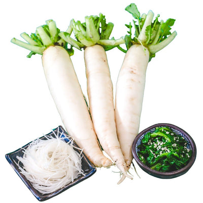 Radish Seeds, Japanese Minowase Daikon