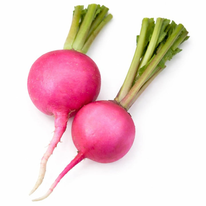 Pair of Pink Beauty Radishes on a white background.