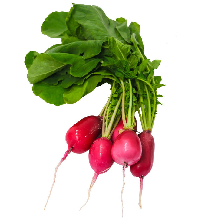 Pink Dawn Radishes on a white background.