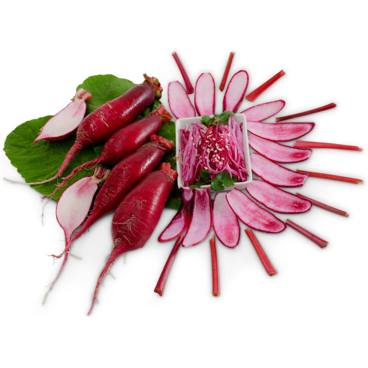 Sliced and whole Red Beauty Radishes arranged in a circle on a white background.