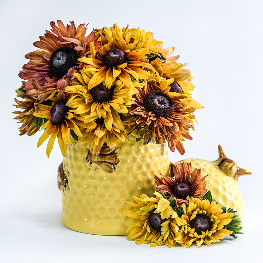 Caramel Rudbeckia Arranged in bee hive ceramic vase on white background.