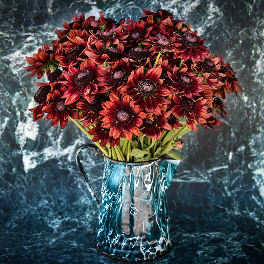 Cherry Brandy Rudbeckia flowers in a mottled pitcher that matched the marbled background.