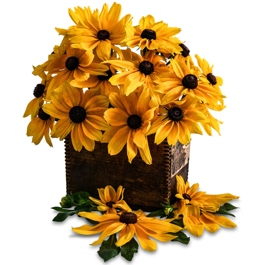 An arrangement of Viviani Rudbeckia in a wooden box on a white background.