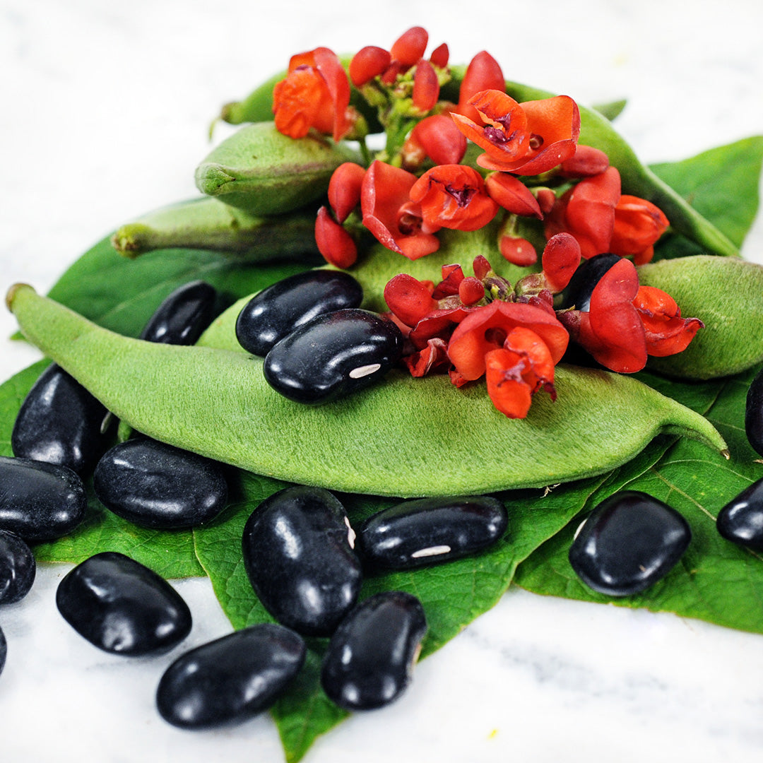 Black Coat Runner Beans with green pods, orange blooms and foliage on a white marble background.