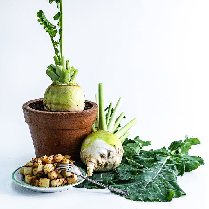 A Macomber Turnip Rutabaga in a pot with leaves, a recipe and roasted rutabaga.