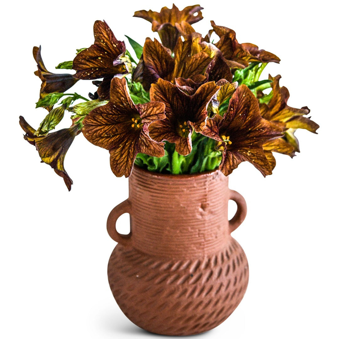 A bouquet of Cafe Au Lait Salpiglossis in a clay pot on a white background.