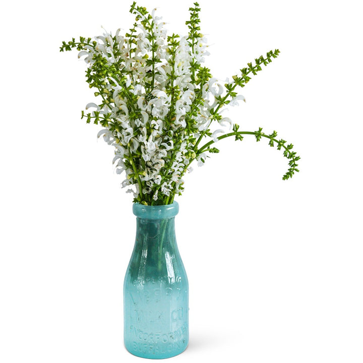 Swan Lake Salvia in a blue glass vase on a white background.