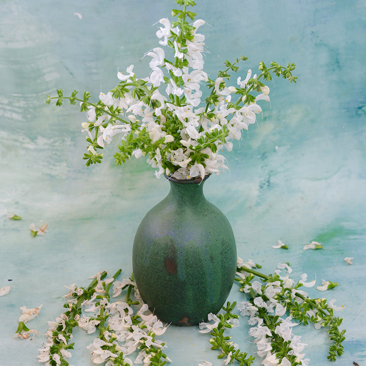 Swan Lake Salvia flowers in greenish vase.