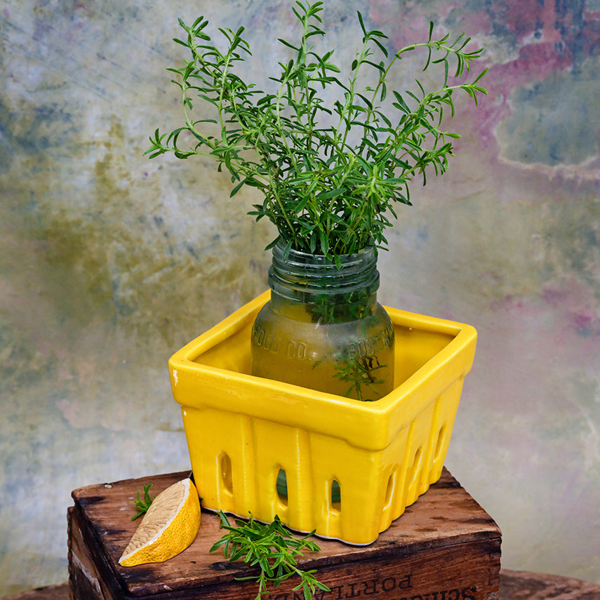Lemon Savory in a mason jar inside a ceramic berry dish with a lemon wedge on a multi-colored background.