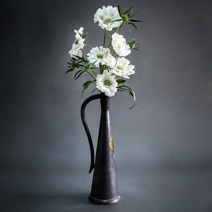A half dozen Fama White Scabiosa blooms in a tall vase on a grey background.