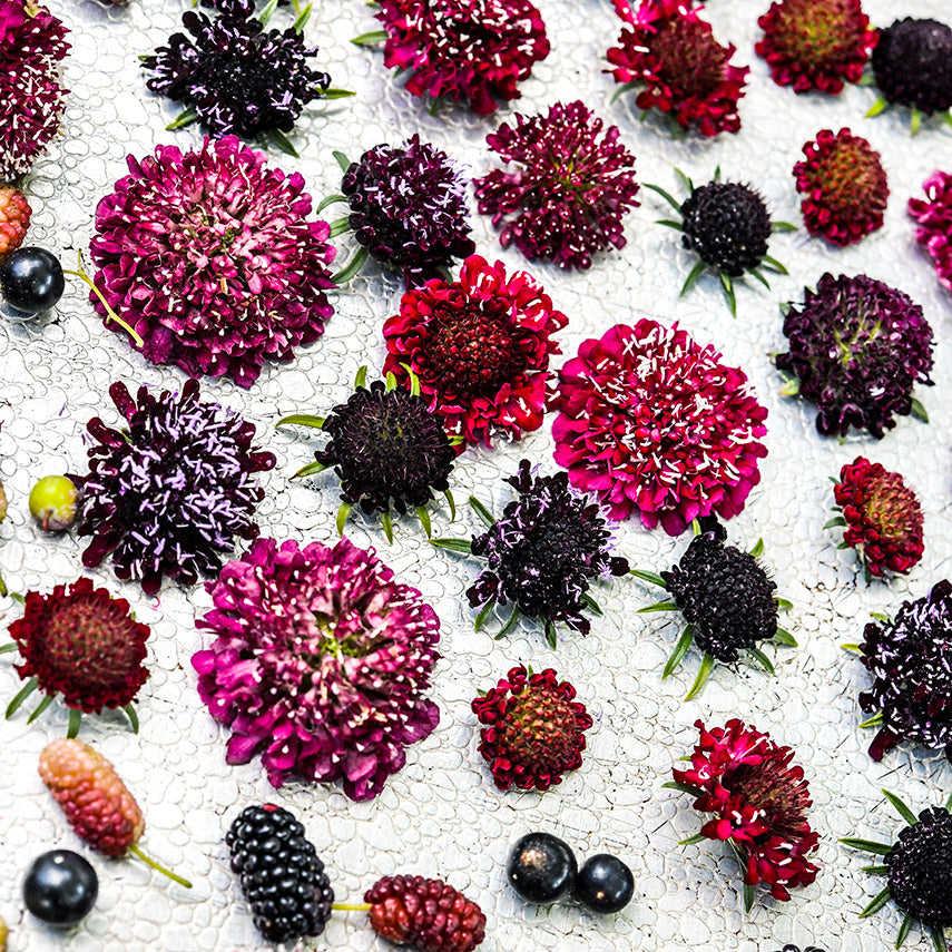 Summer Fruits Scabiosa on a metal tray with berries.