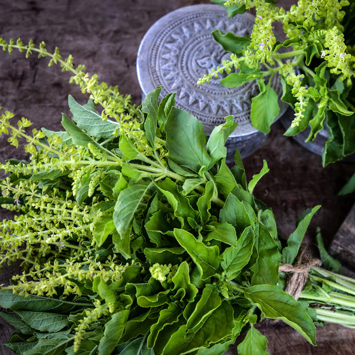 A bundle of Thai Holy Kaprao Basil with a metal Thai container on wood.