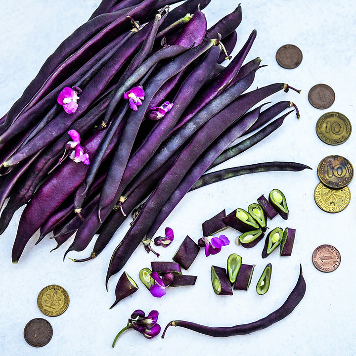 A large pile of Blauhilde Beans with blooms and German coins on a light background.