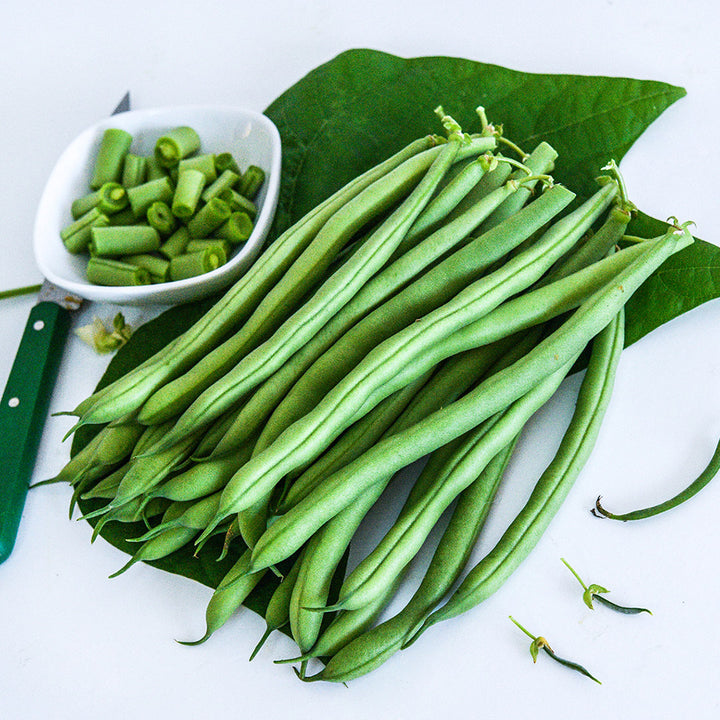 Whole and cut Derby Beans arranged on a light background.