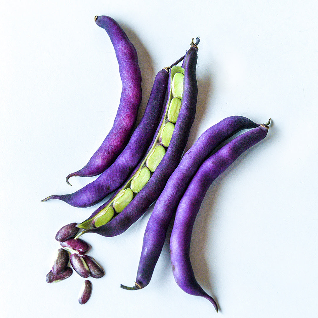 Whole and cut Purple Dove Bush Beans arranged on white background.
