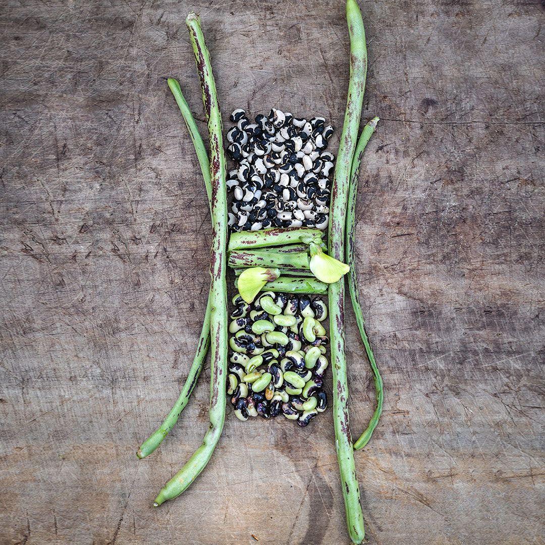 Thai Soldier Long Beans with piles of shelled beans and blooms arranged artistically on a wooden background.