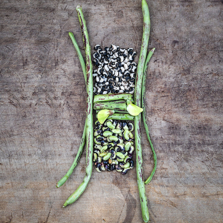 Thai Soldier Long Beans with piles of shelled beans and blooms arranged artistically on a wooden background.