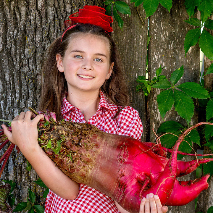 A little girls in a red hat smiles as she holds a Mammoth Red Mangel Beet against a wooden fence.