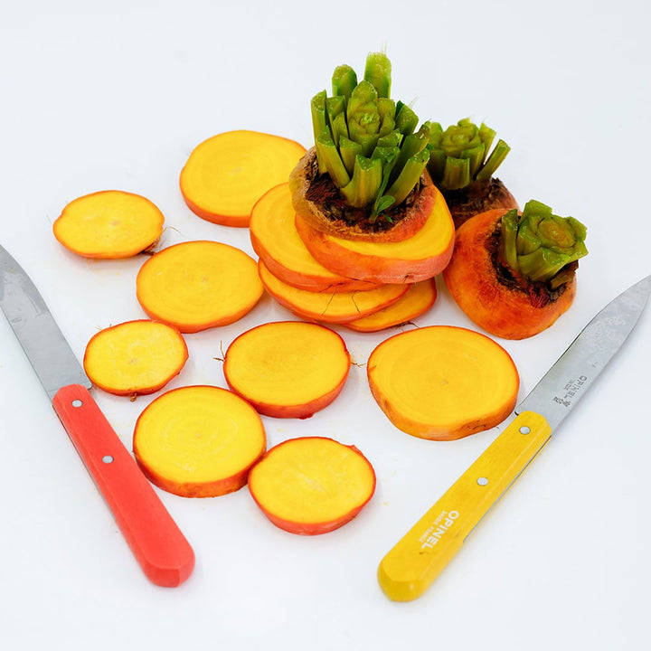 Sliced Wintersonne Beets with orange and yellow handled knives on white background.