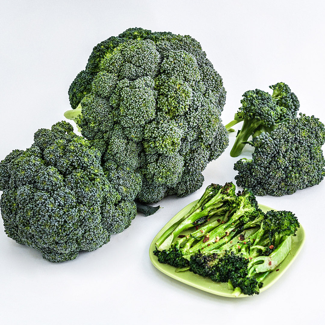 Rasmus Broccoli heads with a plate of cooked broccoli on a white background.