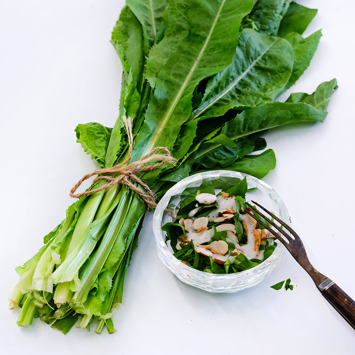 A bundle of Imero Dandelion leaves with a salad on a white background.