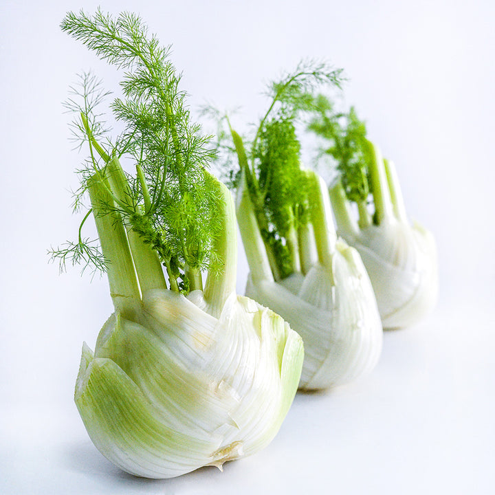 A trio of Wadenromen Fennel bulbs lined up on white background.