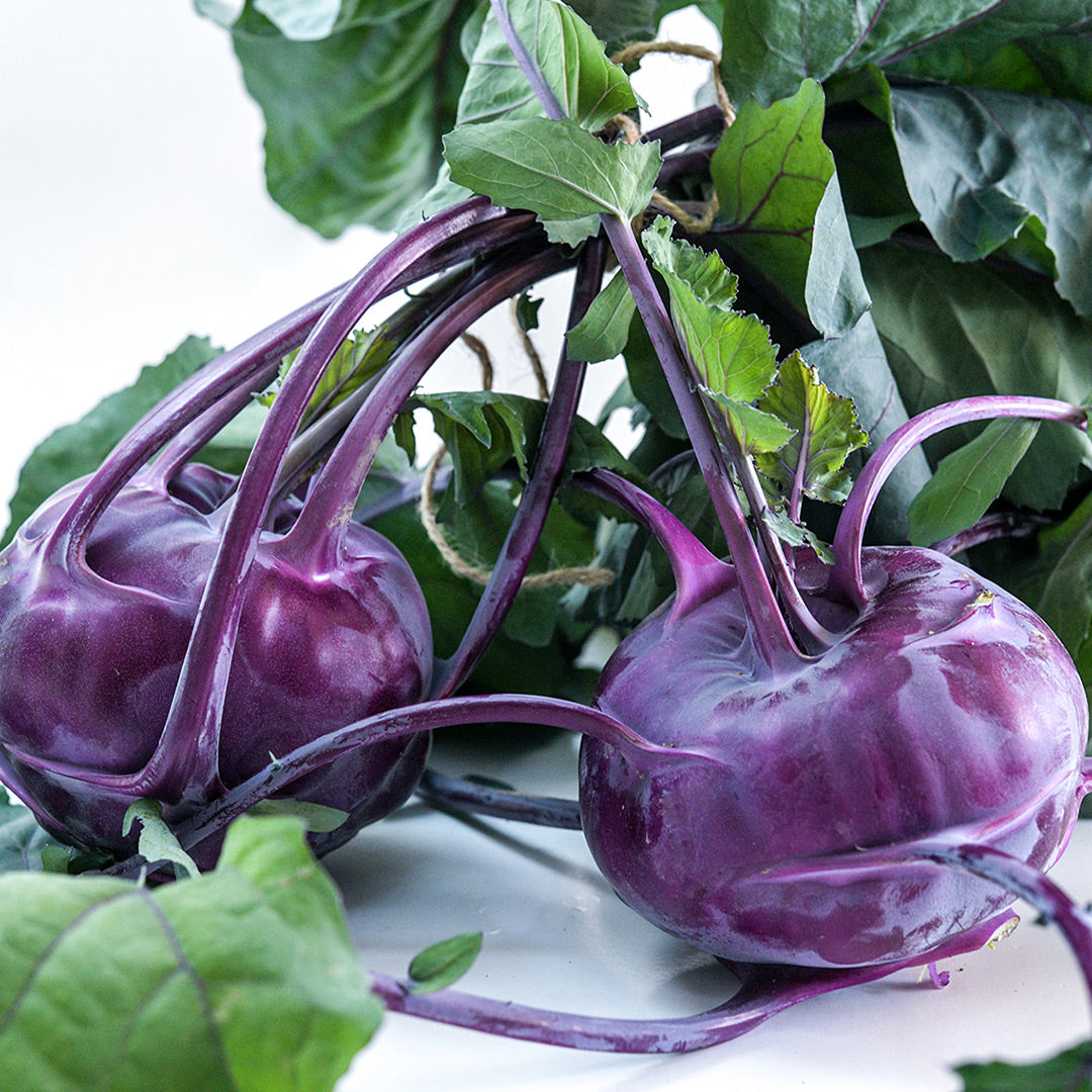 A pair of Azur Kohlrabi tied with a jute rope on a white background.