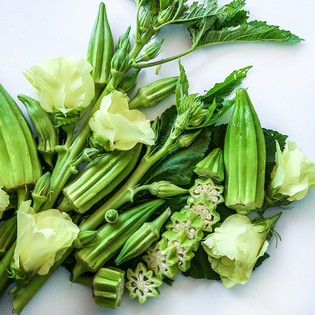 Eagle Pass Okra arranged with leaves and blooms on white background.