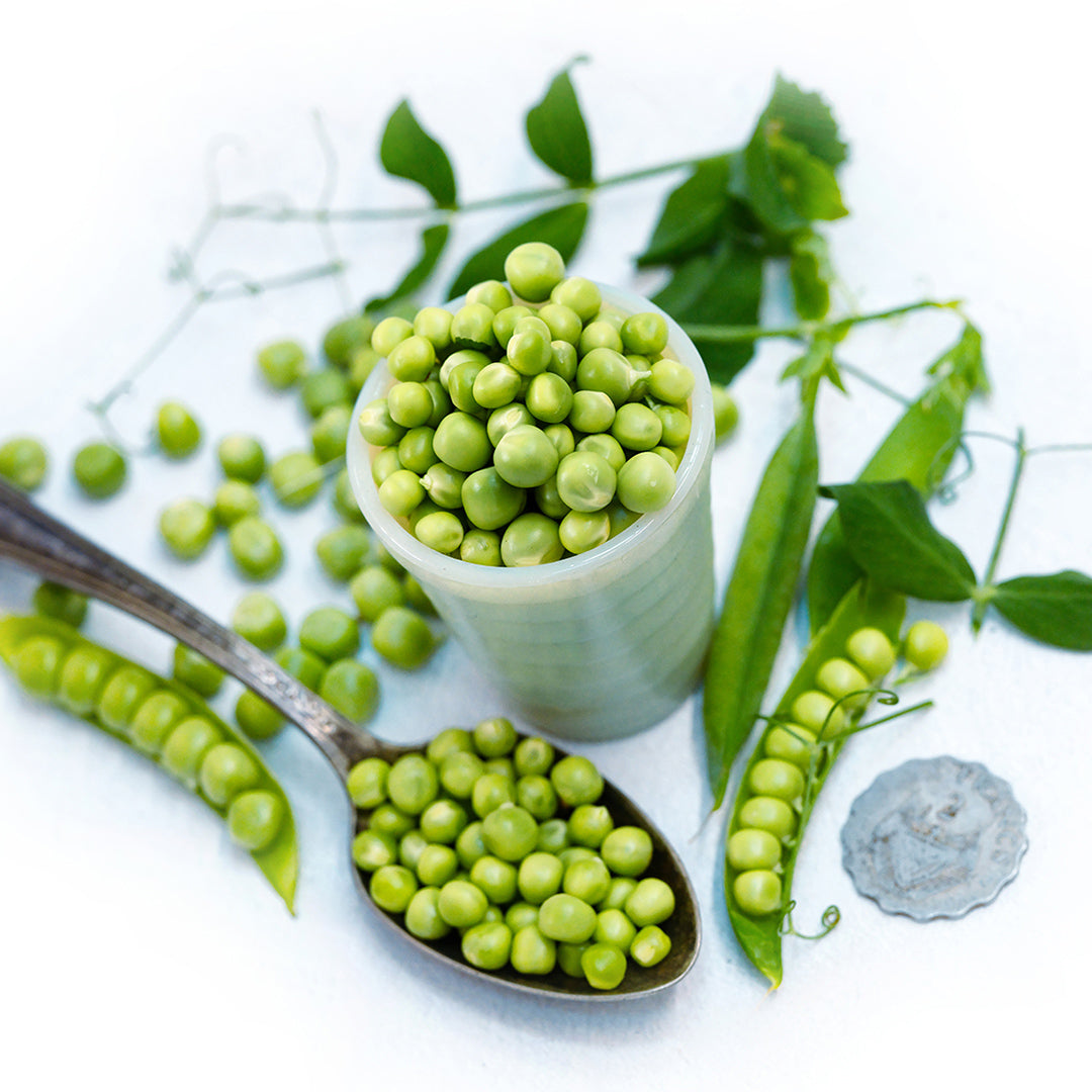 Charmette Petit Pois Peas in a dish surrounded by a spoonful of peas and pods on white.