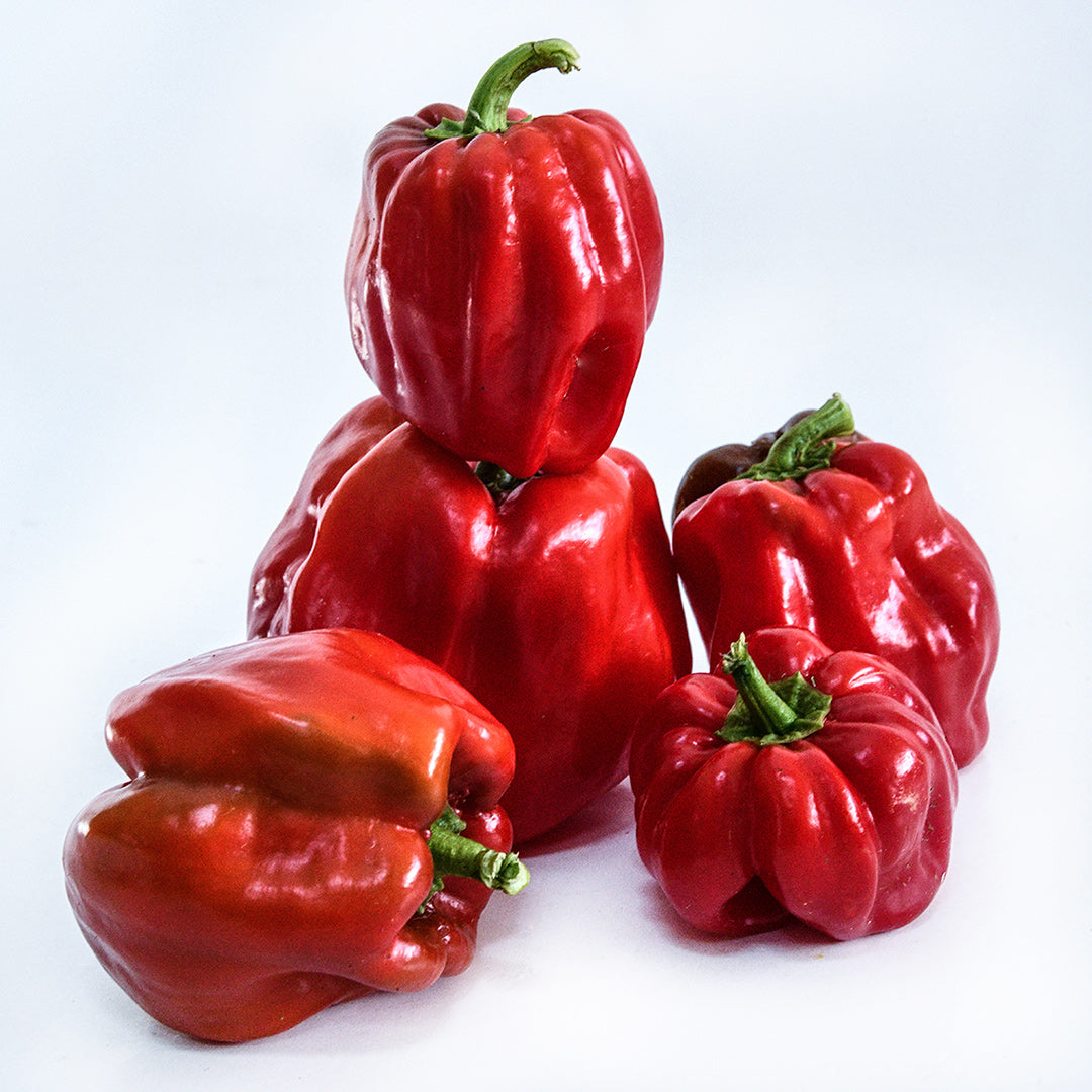 Five Botan Kosho Chili Peppers arranged and stacked on a white background.