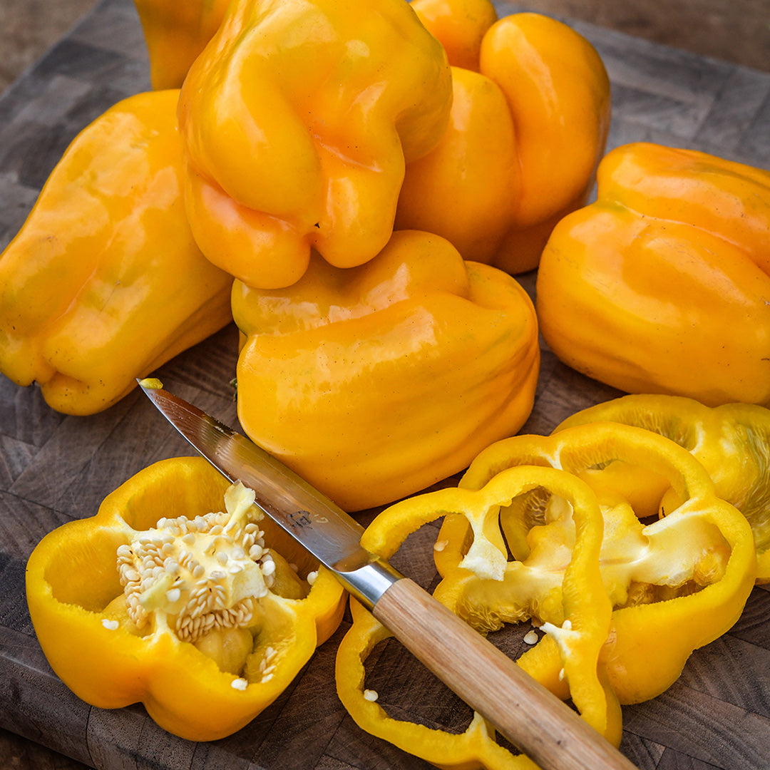 A half dozen or more whole Goldenmane Lion Sweet Pepper with slices and knife on a cutting board.