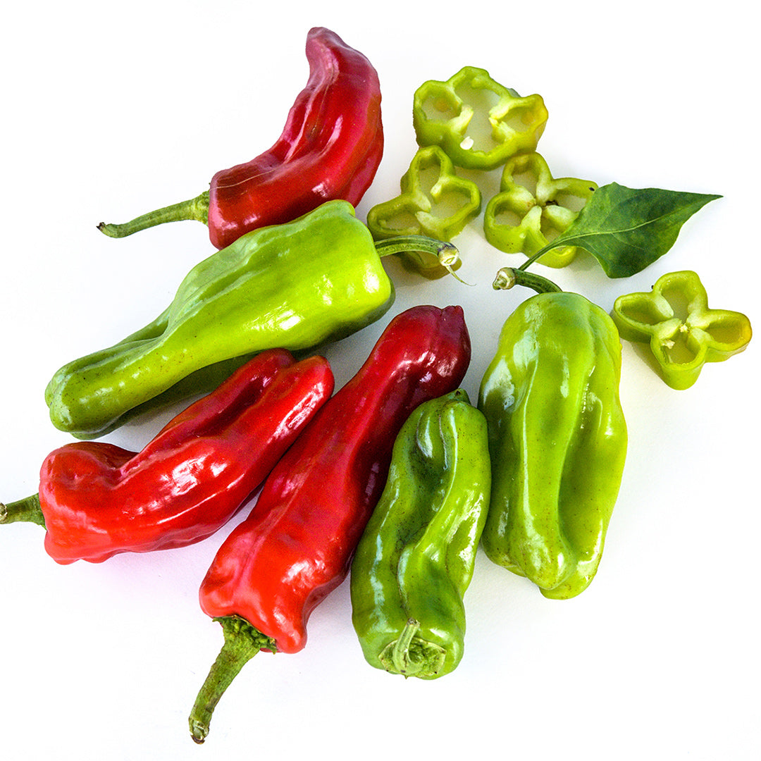 Cut and whole Aleppo Hot Peppers at various stages of maturity arranged on a white background.