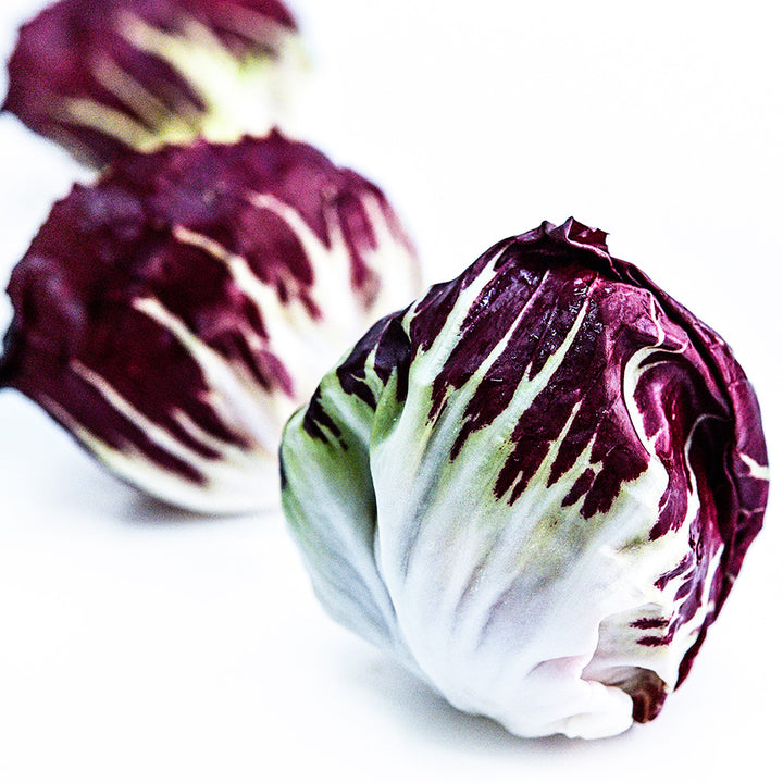 A trio of whole Chioggia 506 Radicchio heads on a white background.