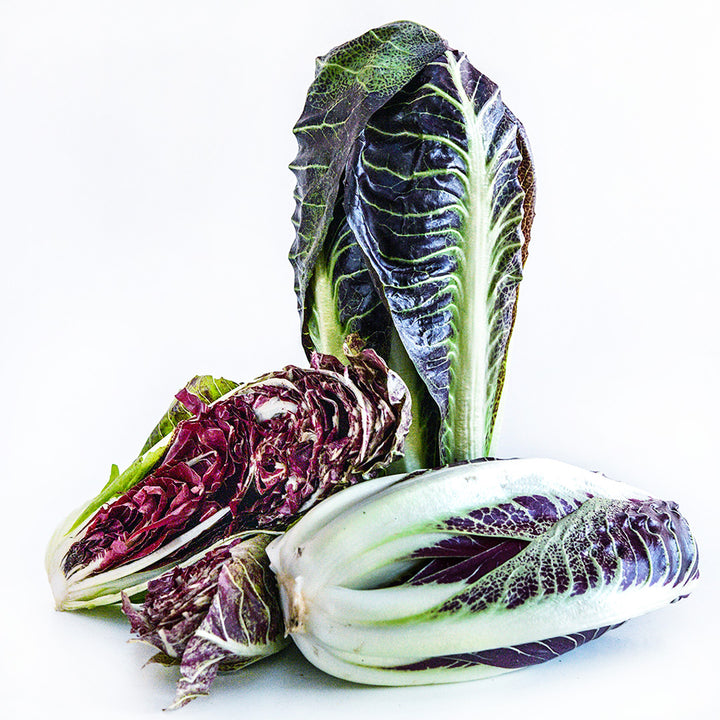Cut and whole Treviso Scorze Radicchio heads on a white background.