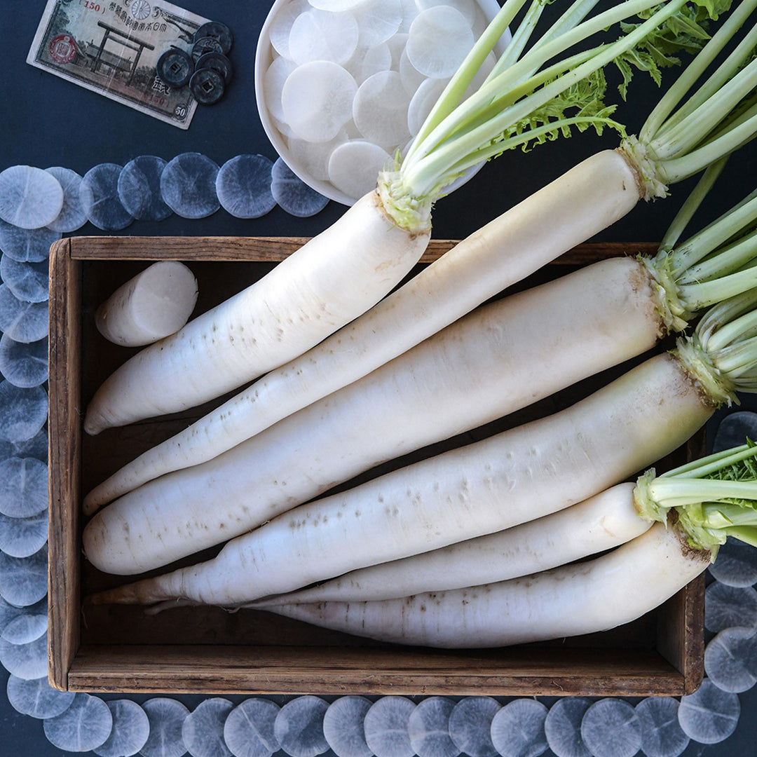 Overhead view of Japanese Minowase Daikon Radishes with thin slices on dark jade background.