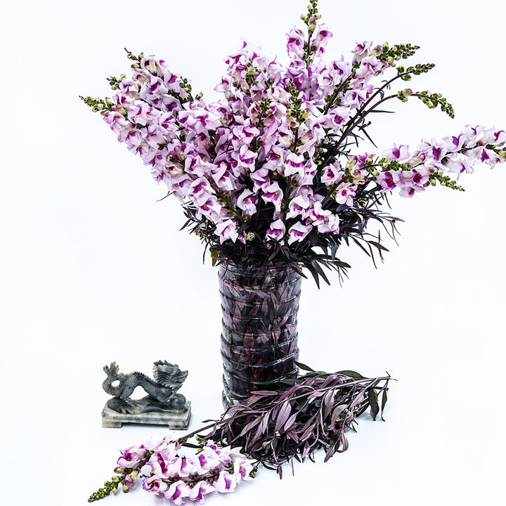 Bronze Dragon Snapdragons in a vase with stone dragon and some stems that show the purple foliage.